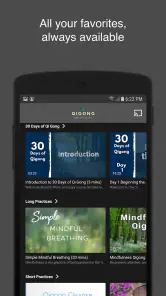 Qigong for Vitality screenshot