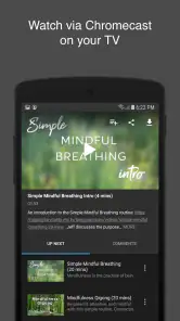 Qigong for Vitality screenshot