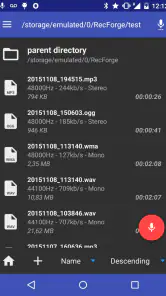 RecForge II Pro : Dictaphone screenshot