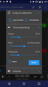 RecForge II Pro : Dictaphone screenshot