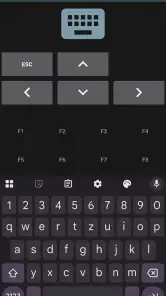 RemotePointer screenshot