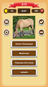Robe Du Cheval - Quiz screenshot
