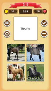 Robe Du Cheval - Quiz screenshot
