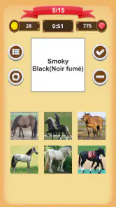 Robe Du Cheval - Quiz screenshot