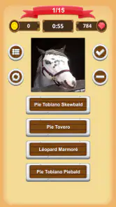 Robe Du Cheval - Quiz screenshot