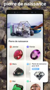 Rock Identifier: Roche, Pierre screenshot
