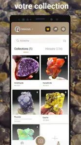 Rock Identifier: Roche, Pierre screenshot