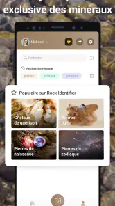 Rock Identifier: Roche, Pierre screenshot