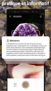 Rock Identifier: Roche, Pierre screenshot