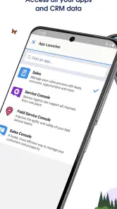 Salesforce screenshot