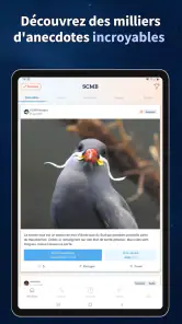Se Coucher Moins Bête screenshot