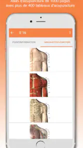 Shen-Acupuncture screenshot