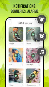 Sons d'oiseaux screenshot