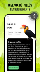 Sons d'oiseaux screenshot