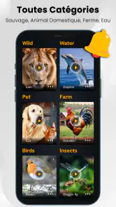 Sons et Sonneries D'animaux screenshot