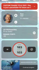 SSI screenshot