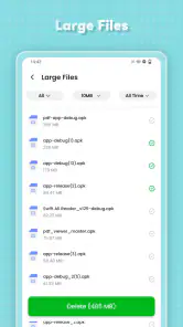 SurfClean screenshot