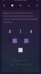 Ta Numérologie Quotidienne screenshot
