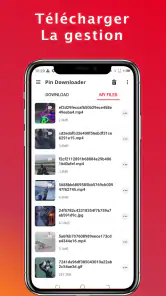 Télécharger vidéo Pinterest screenshot