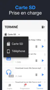 Téléchargeur de Vidéo screenshot