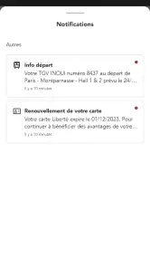 TGV INOUI PRO screenshot