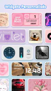 Themely - Icônes & Widgets screenshot