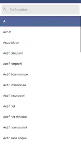 Vernimmen Finance d'Entreprise screenshot