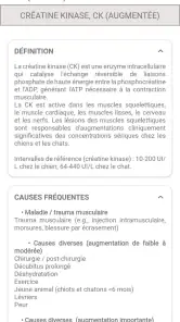 Vetmemo screenshot