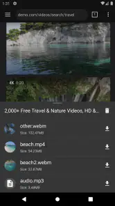 Video Downloader Pro screenshot
