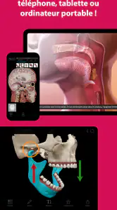 Visible Body Suite screenshot