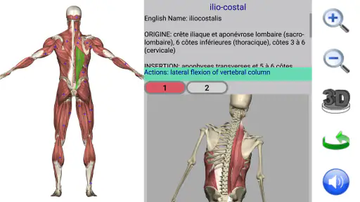 Visual Anatomy 2 screenshot