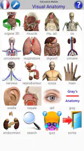 Visual Anatomy 2 screenshot