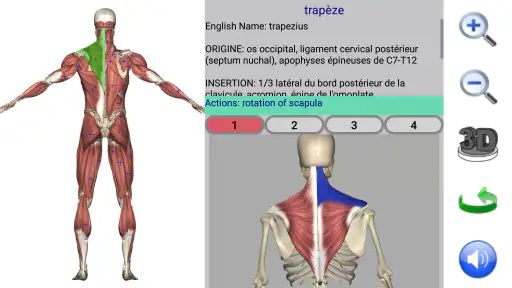 Visual Anatomy 2 screenshot