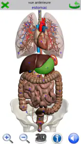 Visual Anatomy 2 screenshot