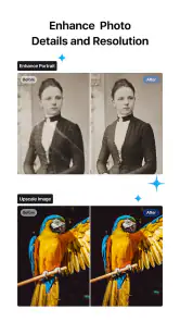 VN - Montage Video & Photo screenshot