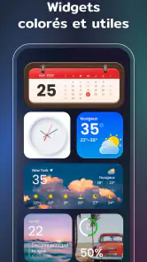 Widgets et Thèmes : iWidgets screenshot