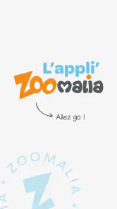Zoomalia screenshot