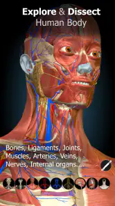 Anatomy Learning - Anatomia 3D screenshot