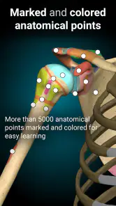 Anatomy Learning - Anatomia 3D screenshot