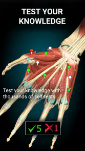 Anatomy Learning - Anatomia 3D screenshot