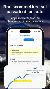 carVertical: controllo VIN screenshot