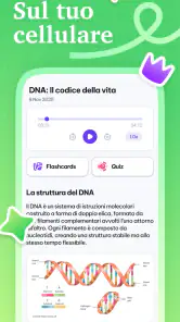 Kiwi AI: Studio & Sbobine screenshot