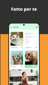 Browser video screenshot