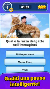 Quiz Blitz: Sfida alla mente screenshot