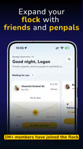Roost Social screenshot
