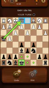 Scacchi screenshot