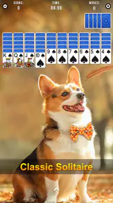 Spider Solitaire screenshot