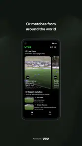 Veo screenshot