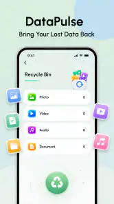 DataPulse-Recovery Assistant screenshot