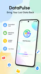 DataPulse-Recovery Assistant screenshot
